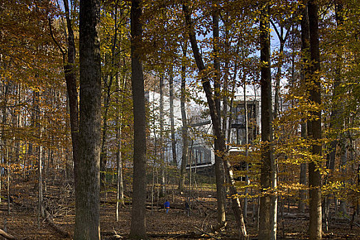 房子,建筑师,弗吉尼亚,美国,2009年