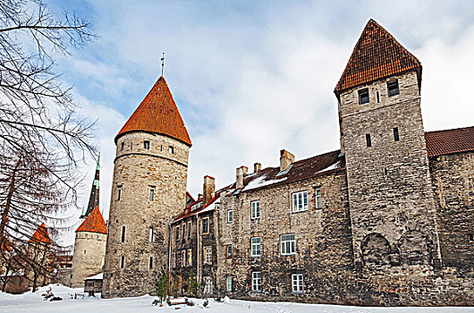 古老,石头,要塞,墙壁,塔,塔林,爱沙尼亚