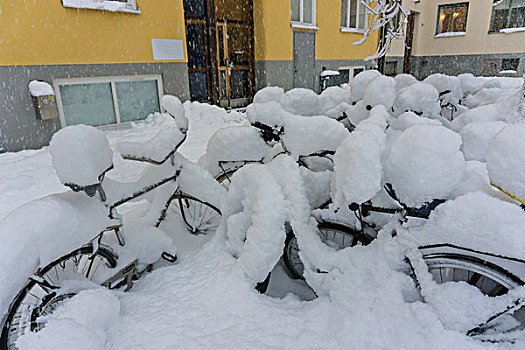雪,停放,自行车