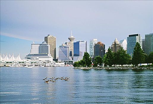 加拿大,温哥华,城市天际线,水