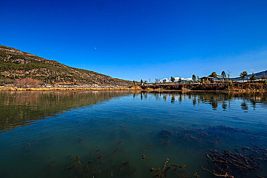 拉市海湿地自然保护区