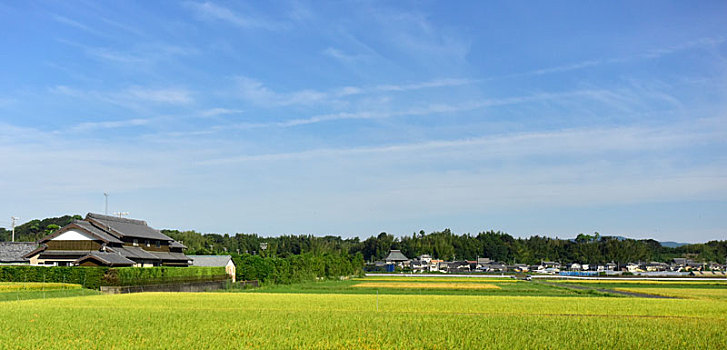 日本大阪的田野风光