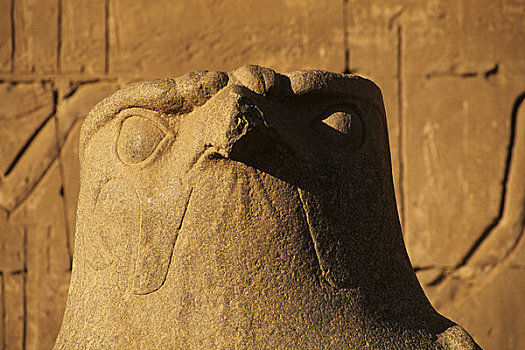 埃及,尼罗河,伊迪芙,荷露斯神庙,第一,雕塑,猎鹰,特写