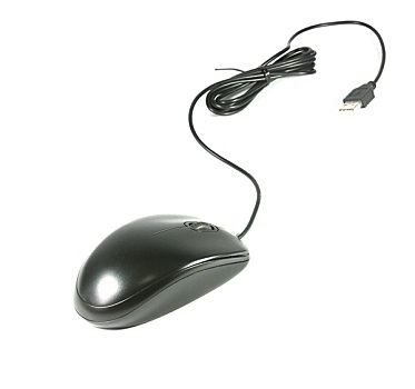 黑色,电脑鼠标,线缆,白色背景,背景
