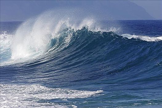 波浪,北岸,瓦胡岛,夏威夷