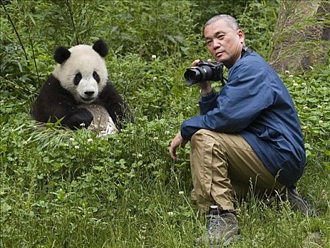 摄影师,大熊猫,中国