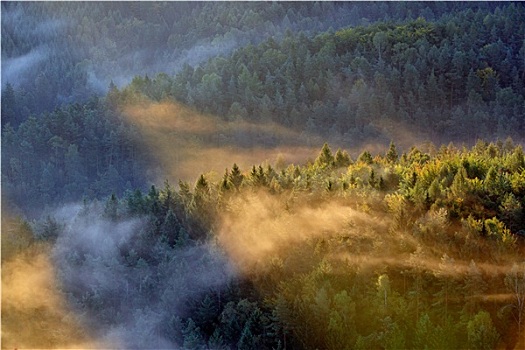 日出,光照,上方,雾,波希米亚风格,瑞士