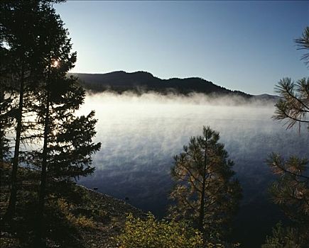 雾,上方,湖,美国,蒙大拿,山峦