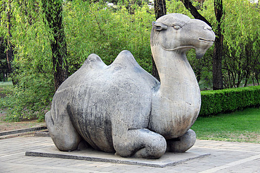 北京昌平明十三陵神道石像生,骆驼