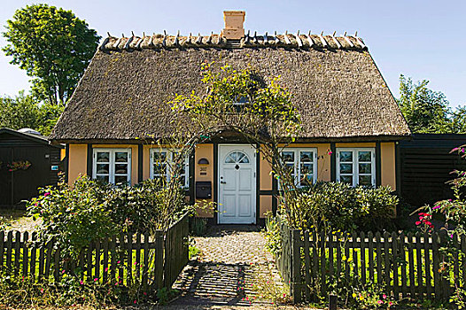 风景,茅草屋顶,黄色,屋舍,丹麦