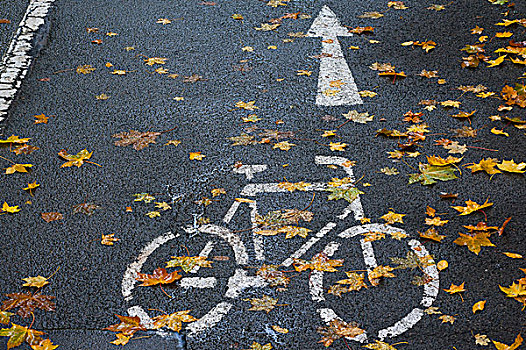 自行车道,秋叶,班贝格,上弗兰科尼亚,巴伐利亚,德国,欧洲