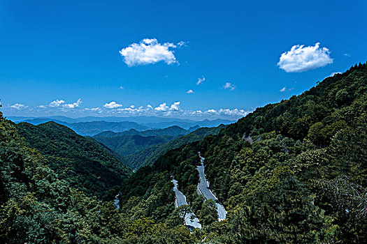 草原