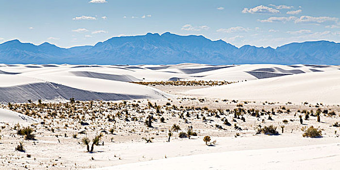 沙丘,沙漠,全景,山,后面,白沙,国家纪念建筑,阿拉莫戈多,新墨西哥,美国