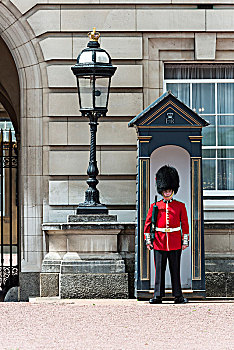 保安,皇家卫兵,熊皮,帽,白金汉宫,伦敦,英格兰,英国