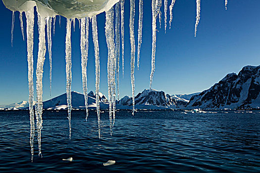 南极,冰柱,悬挂,融化,冰山,靠近,雷麦瑞海峡