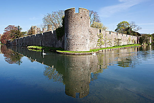 英格兰,萨默塞特,宫殿,家,主教,沐浴,800年,反射,围绕,护城河