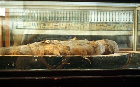 木乃伊,绷带,躺着,棺材,古埃及,艺术家,未知