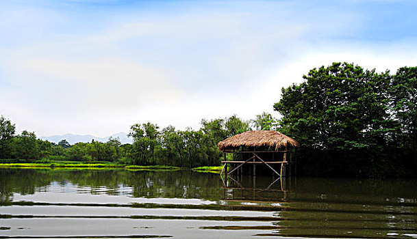 杭州西溪湿地