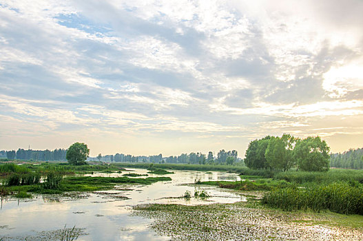 暖色光线环境中的河流和生态湿地