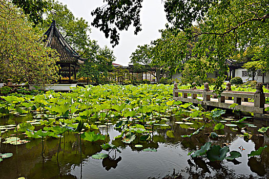 醉白池