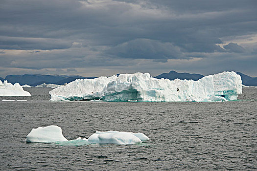 格陵兰,半岛,市区,迪斯科湾,靠近,冰山,海岸,大幅,尺寸