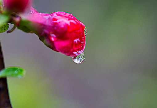 水点