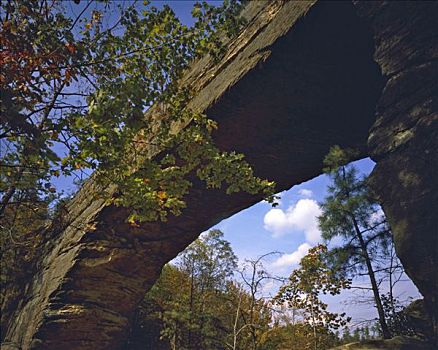 天然石桥,州立公园,肯塔基