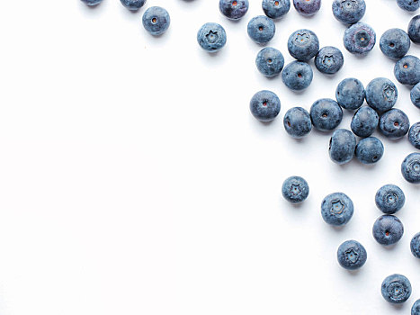蓝莓,隔绝,白色背景,背景