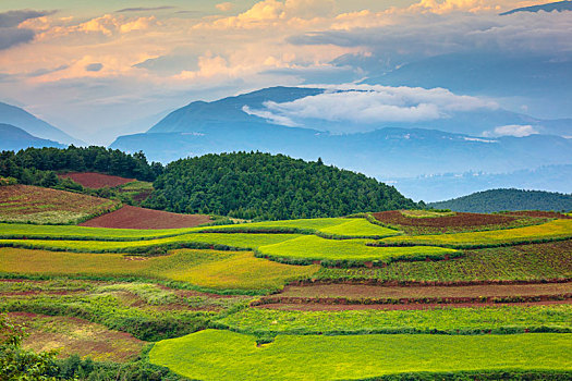 东川红土地的光,景,人