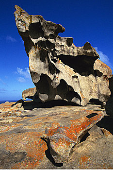 岩石构造,袋鼠,岛屿,佛兰德斯,追逐,国家公园