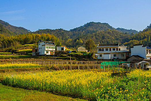 春日灵山梯田