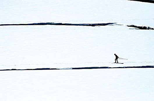 滑雪,河,碧玉国家公园,艾伯塔省,加拿大