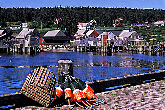 港口,码头,渔村,小湾,大马南岛,新布兰斯维克,加拿大