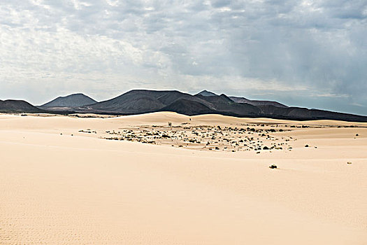 沙丘,正面,火山,科拉莱霍,自然公园,富埃特文图拉岛,加纳利群岛,西班牙,欧洲