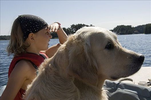 女孩,狗,向外看,上方,海洋,瑞典