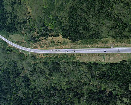 空中,树林,道路