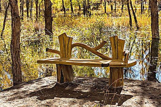 秋天森林公园的木椅
