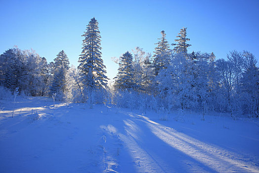 雪岭雾凇景观