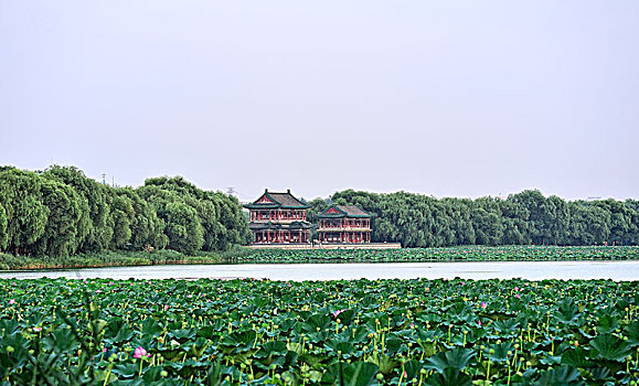 颐和园风光--景明楼