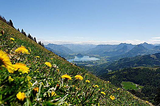山,湖,山丘,萨尔茨堡州,奥地利,欧洲