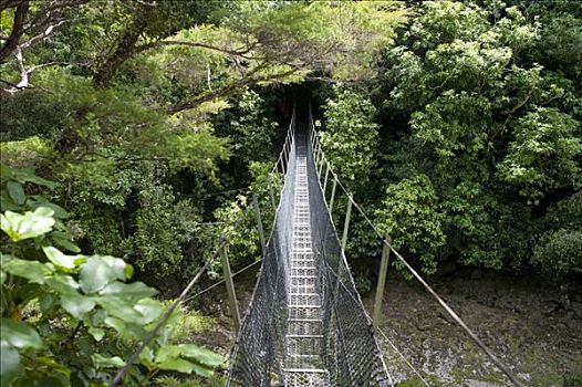 索桥,南岛,新西兰