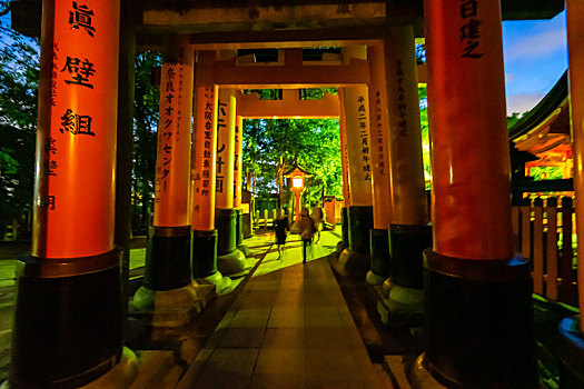 日本京都伏见稻荷大社千本鸟居夜景