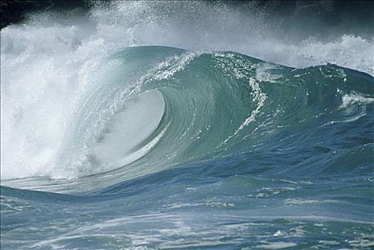 波浪,碰撞,海中,夏威夷,美国