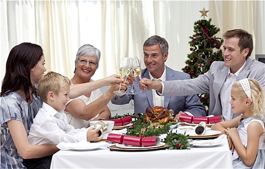 家庭,敬酒,圣诞晚餐