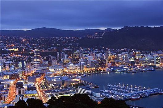 新西兰,北岛,惠灵顿,全景,市中心,夜景,远眺,东方海湾,港口