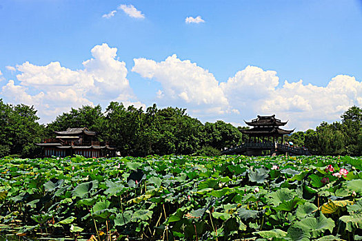 杭州西湖城市风光