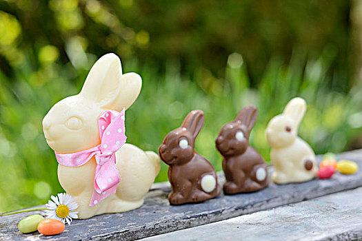 巧克力,兔子,胶质软糖,花园桌