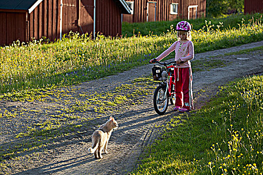 女孩,自行车,靠近,猫,乡村