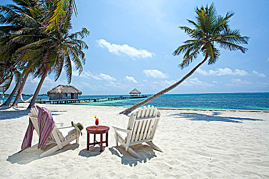 中美洲,伯利兹,佩特罗,沙滩椅,椅子,鸡尾酒,海滩,椰树,加勒比海,南方