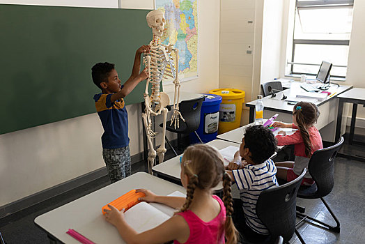 侧面视角,男生,解释,人体骨骼,模型,教室